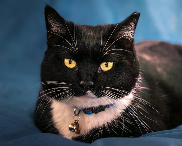 How is the Future of Grassroots Football in the UK Shaping Up?